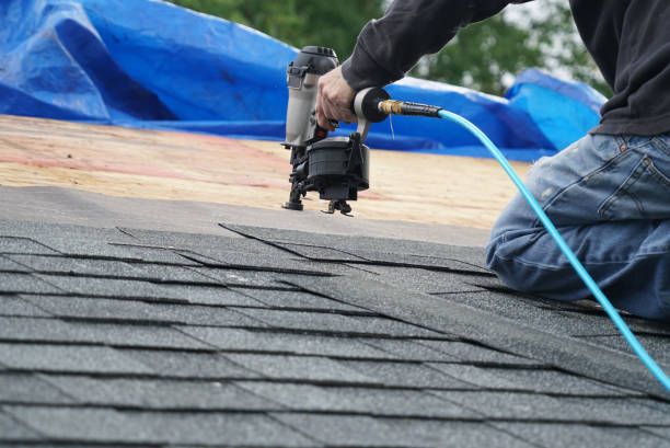 Best Roof Leak Repair  in Wolcottville, IN