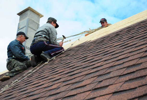 Best Emergency Roof Repair  in Wolcottville, IN